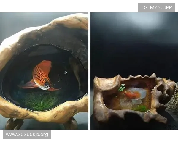 澳门莲花的悠久历史与文化传承探索